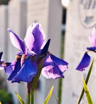 pagar gastos funerarios sin seguro