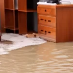 Indemnización daños por agua