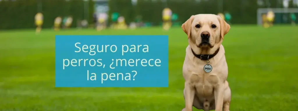 Seguro para perros merece la pena