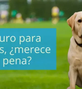 Seguro para perros merece la pena