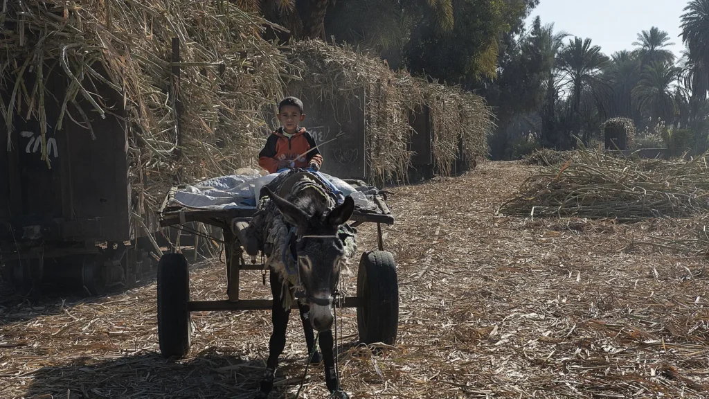 Conductor joven con su coche