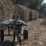 Conductor joven con su coche
