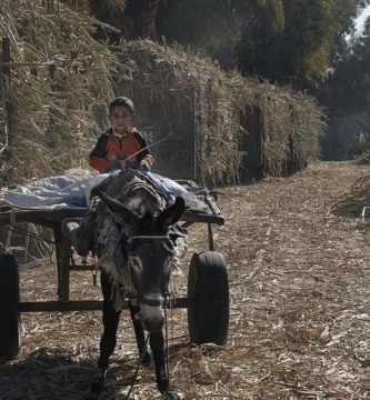 Conductor joven con su coche