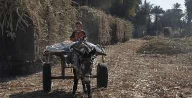 Conductor joven con su coche